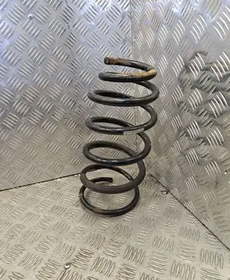 Rear coil spring