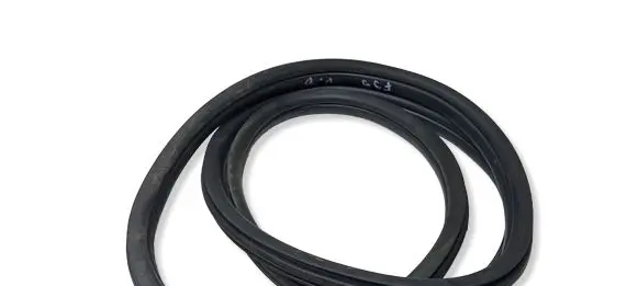 BMW X2 F39 Rear door rubber seal (on body) 7420803
