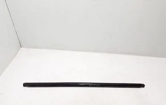 Ford Mach-E I Front door glass trim molding LJ8BR20562AC
