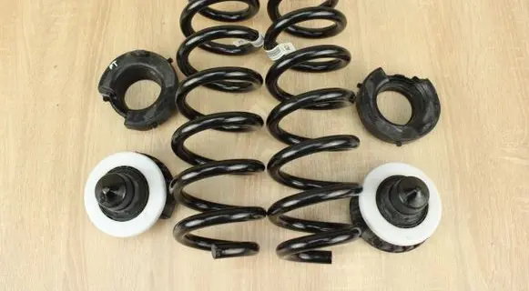 Rear coil spring