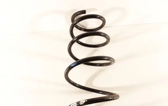 Front coil spring