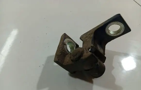 Rear door lower hinge