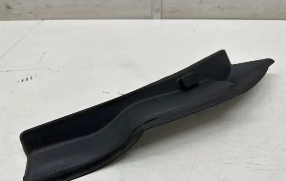 Rear/tail light trim molding