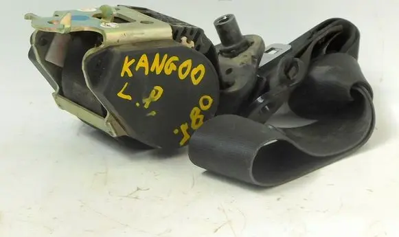 Renault Kangoo II Roof seat belt 193667