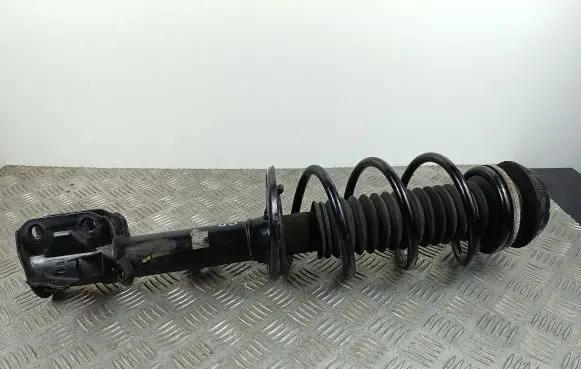 Suzuki SX4 S-Cross Front shock absorber with coil spring