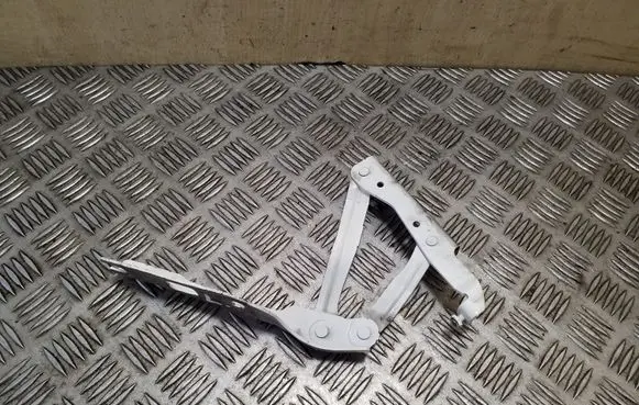 Volkswagen Eos Engine bonnet/hood hinges 1Q0823301C