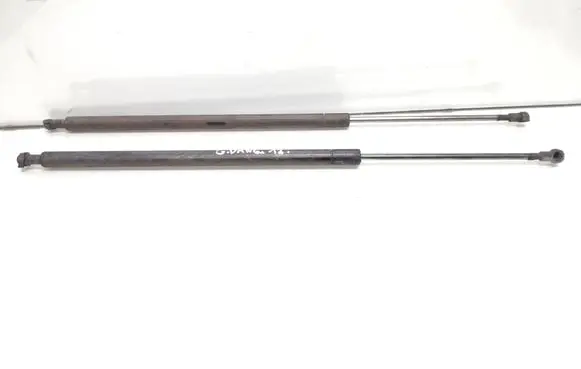 Tailgate/trunk strut/damper
