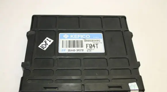 Hyundai Santa Fe Other control units/modules 954403A370