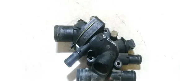 Mitsubishi Carisma Engine coolant pipe/hose 7700866730 7700886731