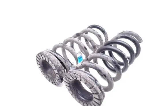 Rear coil spring