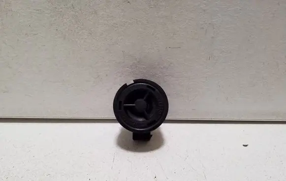 Fiat 500L Front door high frequency speaker 528393184