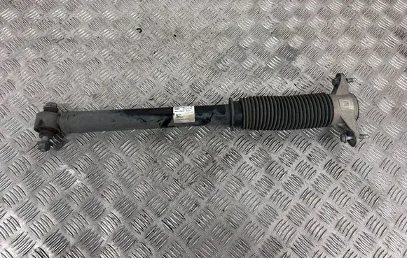Tesla Model 3 Rear shock absorber/damper 104446102E