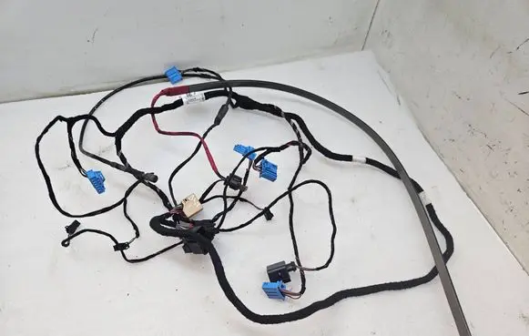 Volkswagen ID. Buzz Other wiring loom 1N3971566 29062021 T656970