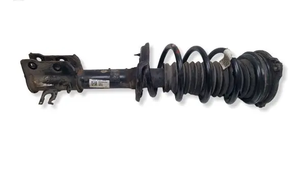 Jeep Compass Front shock absorber with coil spring 00533806300 00590 01671