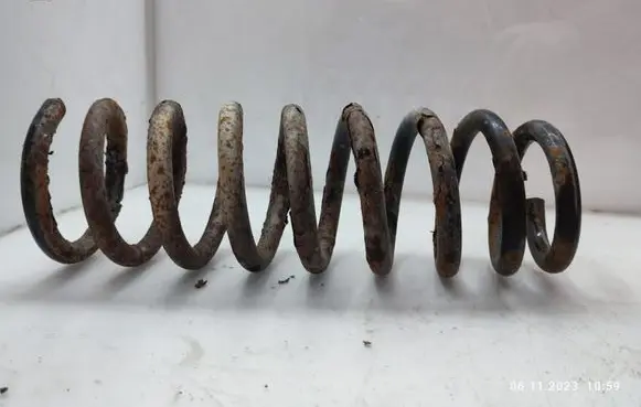 Rear coil spring