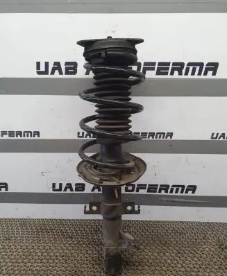 Nissan Qashqai Front shock absorber with coil spring 543034FA3A