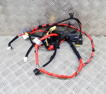 Hyundai Ioniq 5 Front door wiring loom 91600GI971