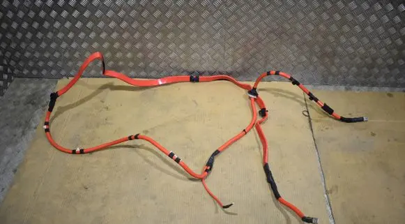 Audi A8 S8 D5 Other wiring loom 4N1971225AR