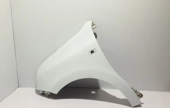 Renault Twingo III Fender 631014025R