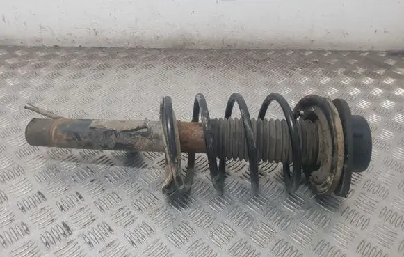 Peugeot 206 Front shock absorber with coil spring