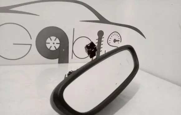 BMW X1 F48 F49 Rear view mirror (interior) 9243589 E1021221