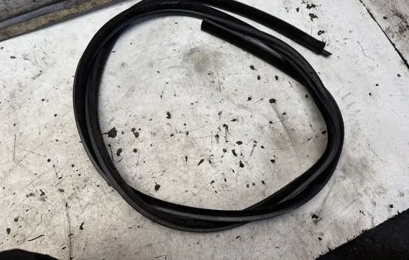BMW 3 E46 Rubber seal rear door