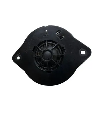 Panel speaker