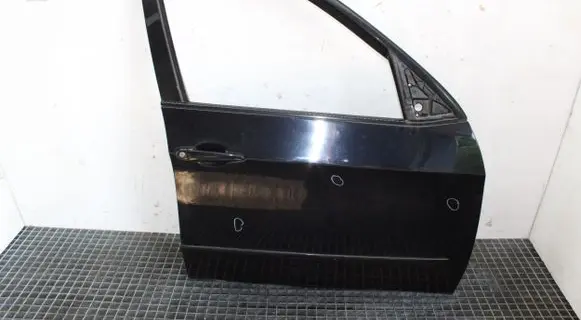 BMW X5 E70 Front door