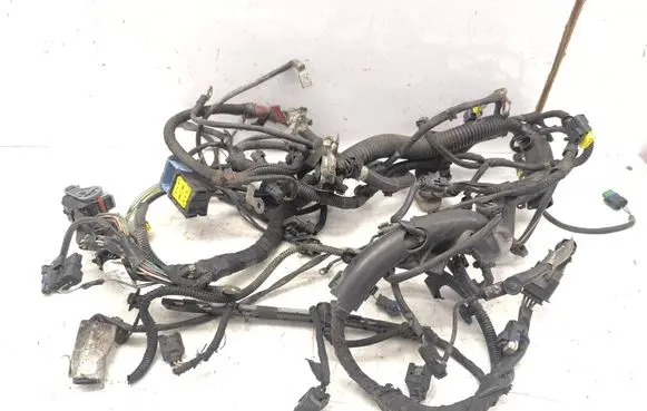 Engine installation wiring loom