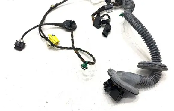 Front door wiring loom