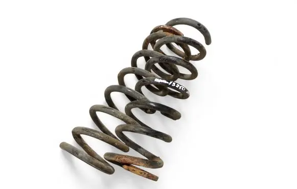Rear coil spring