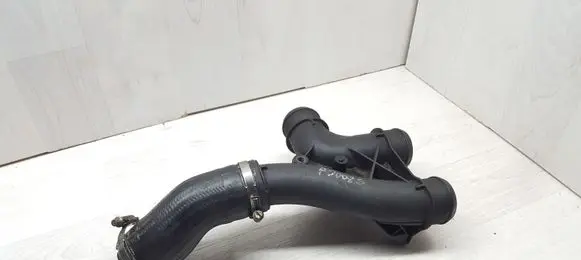 Peugeot 3008 I Intercooler hose/pipe 9688500380 1064776S01