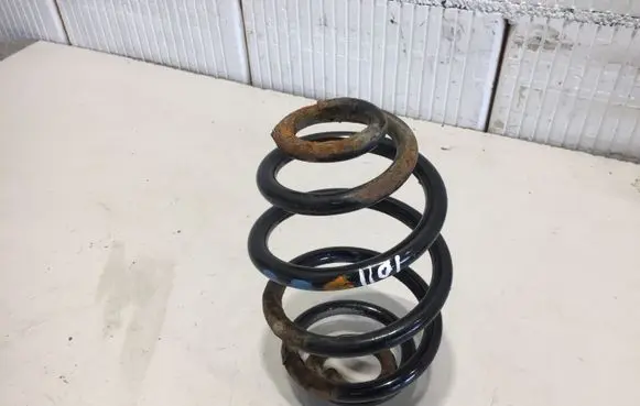Volkswagen PASSAT B5.5 Rear coil spring