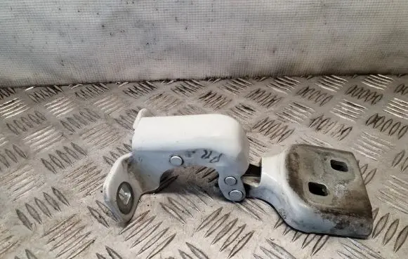 Opel Movano B Front door lower hinge 804000006R