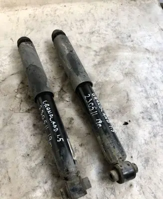 Opel Grandland X Rear shock absorber/damper 9824958980