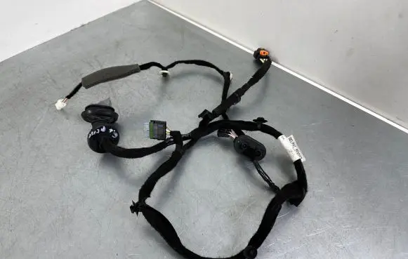Rear door wiring loom