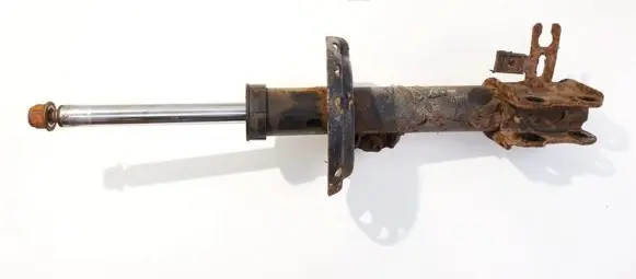 Opel Zafira B Front shock absorber/damper 22214600 24466541