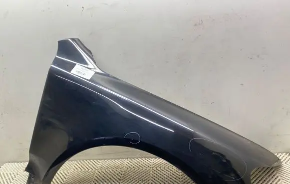 Volkswagen Touareg I Fender