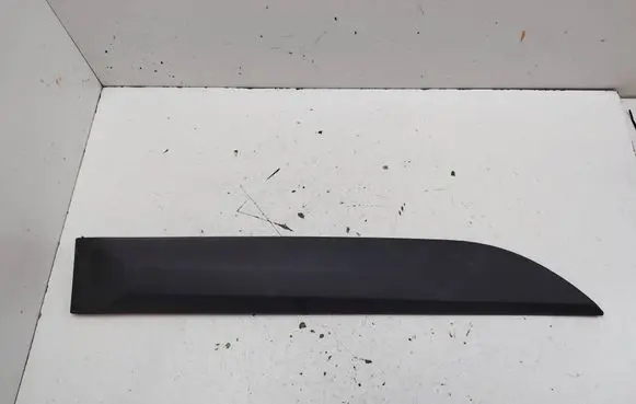 Renault Megane III Rear door trim (molding) 828760004R
