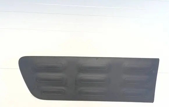 Citroen C4 Cactus Front door trim (molding) 9801023580