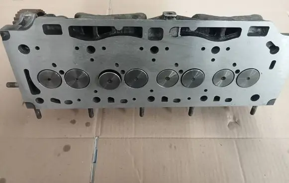 Renault Scenic I Engine head 000