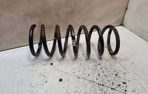 Rear coil spring