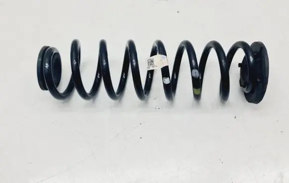 KIA Niro Rear coil spring 55330AO200