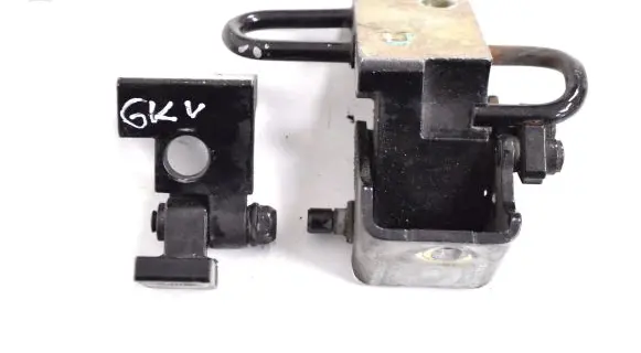 Rear door lower hinge