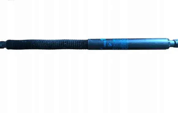 BMW X3 G01 Tailgate strut 7427492