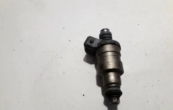 Ford Fiesta Fuel injector IW155 95BF.BC
