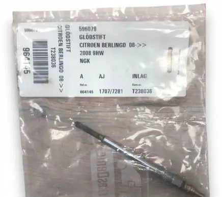 Citroen Berlingo Glow plug 596079