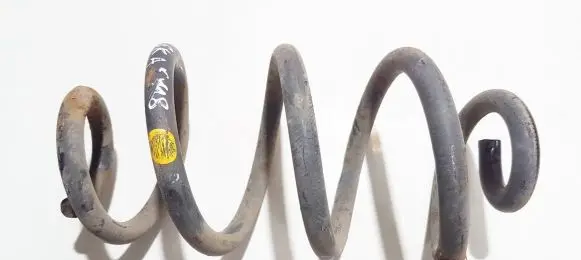 Nissan X-Trail T31 Rear coil spring