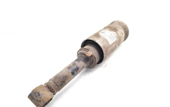Land Rover Range Rover Sport L320 Air suspension front shock absorber 22238305