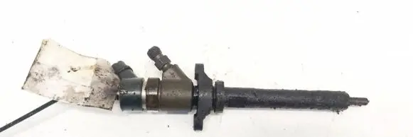 Citroen Xsara Picasso Fuel injector 0445110188 892080